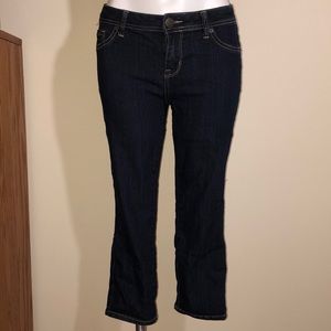 Dressbarn Westport Petite Size Capri Pants
